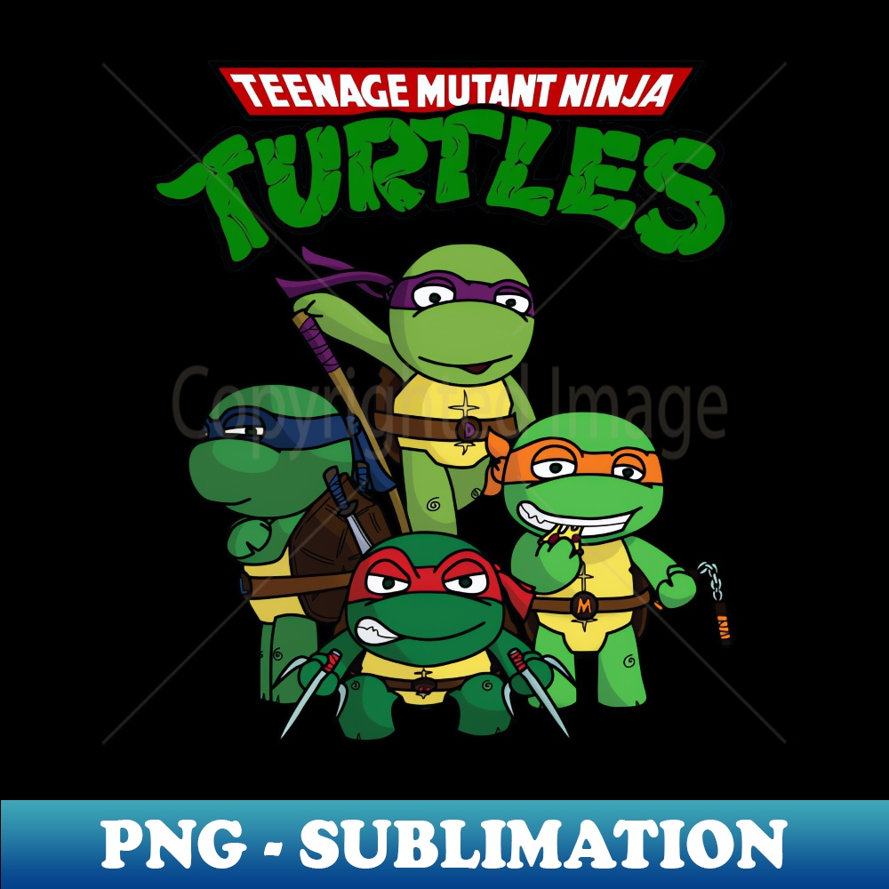 BI-20231114-21164_TMNT Ninja turtles kids 8218.jpg
