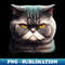 BI-20231114-8315_Funny Annyoyed Cat Face Love Cats 3466.jpg