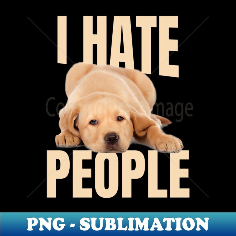 BK-20231114-8532_Funny Labrador Meme 2069.jpg