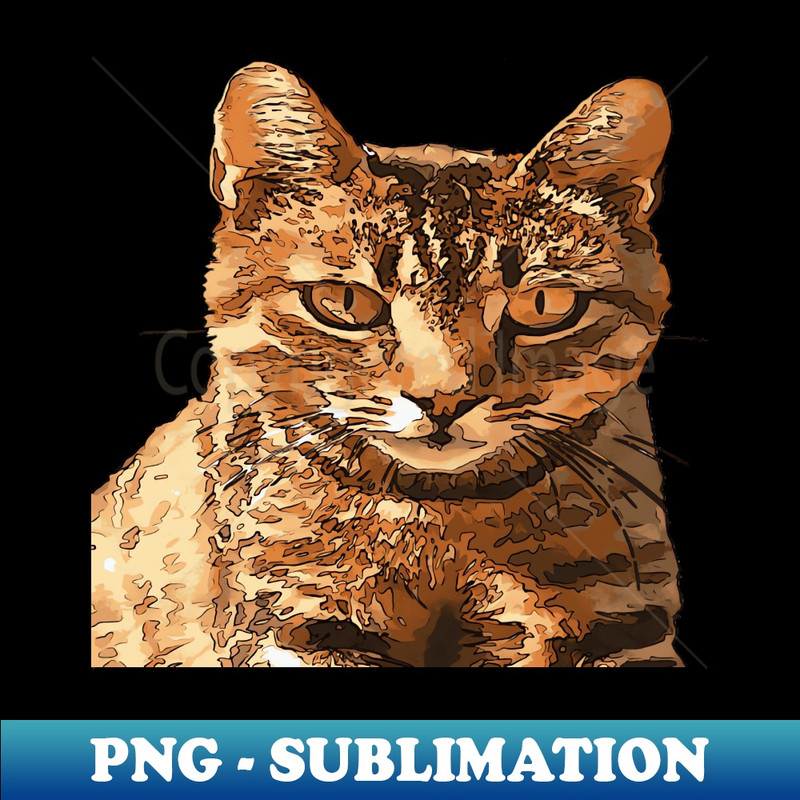 BN-20231114-9291_Gorgeous Tabby Cat With Staring Eyes Black Outline Art 6126.jpg