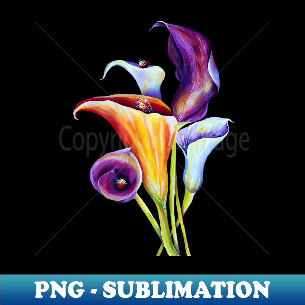 BY-20231114-22364_Watercolor Calla Lilies Bouquet Blooming 8373.jpg