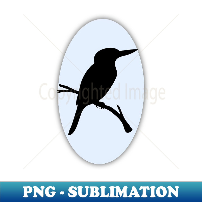 CI-20231114-20622_The Kingfisher Is Sitting On A Tree Branch 9704.jpg