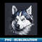 CK-20231114-18782_Siberian Husky 6817.jpg