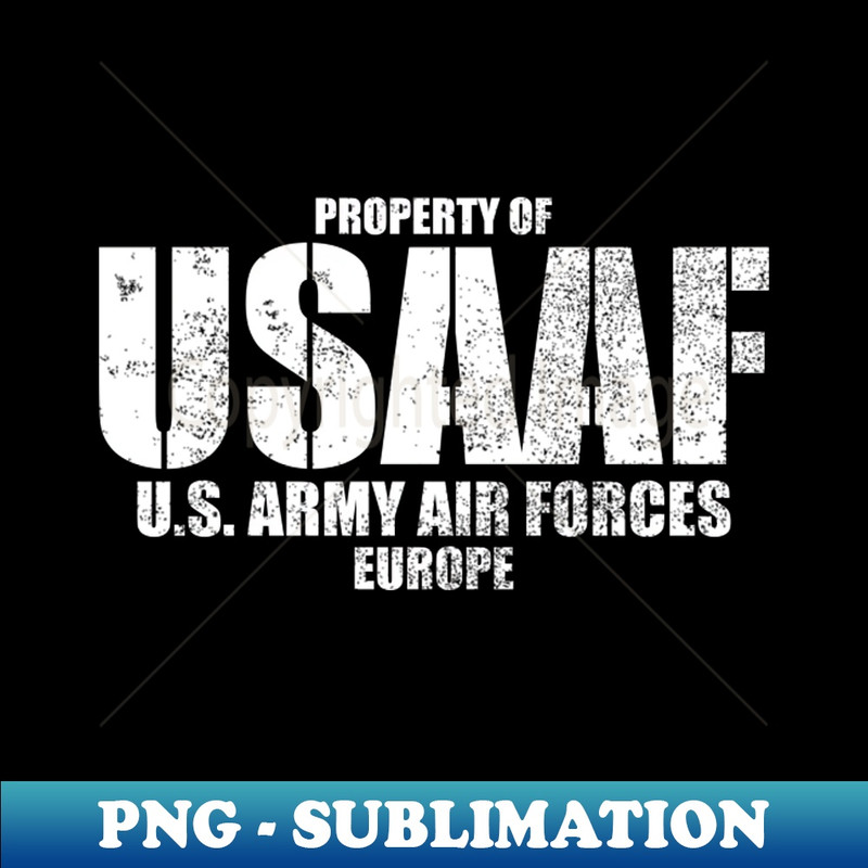 CU-20231114-21733_United States Army Air Forces distressed 6433.jpg