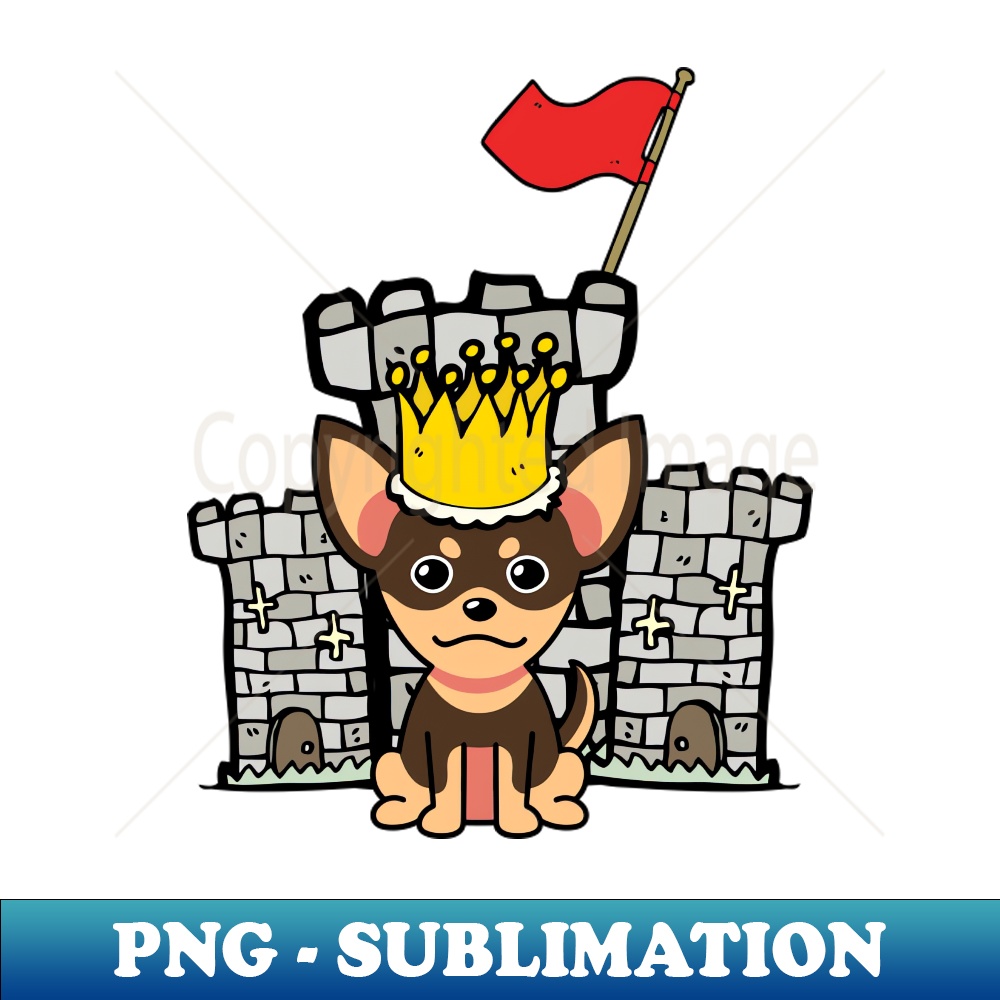 CV-20231114-5874_Cute small dog is king of the castle 9971.jpg