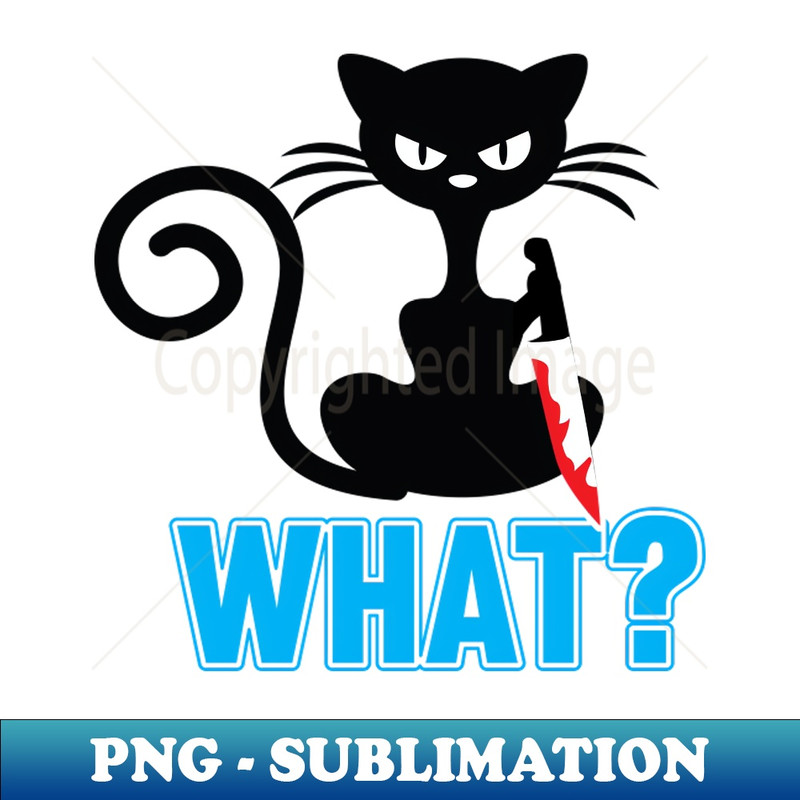 CY-20231114-22554_What Angry Black Cat Knife 5707.jpg