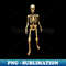 DL-20231114-9745_Halloween Skeleton Human Bones Creepy Skeleton Trick or Treat 7617.jpg