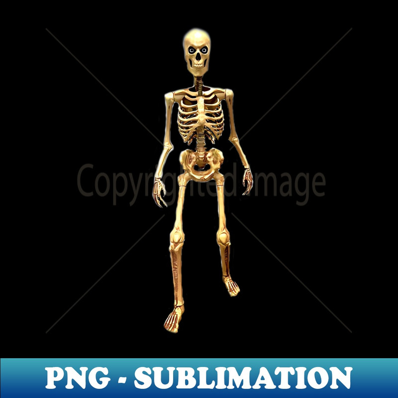 DL-20231114-9745_Halloween Skeleton Human Bones Creepy Skeleton Trick or Treat 7617.jpg