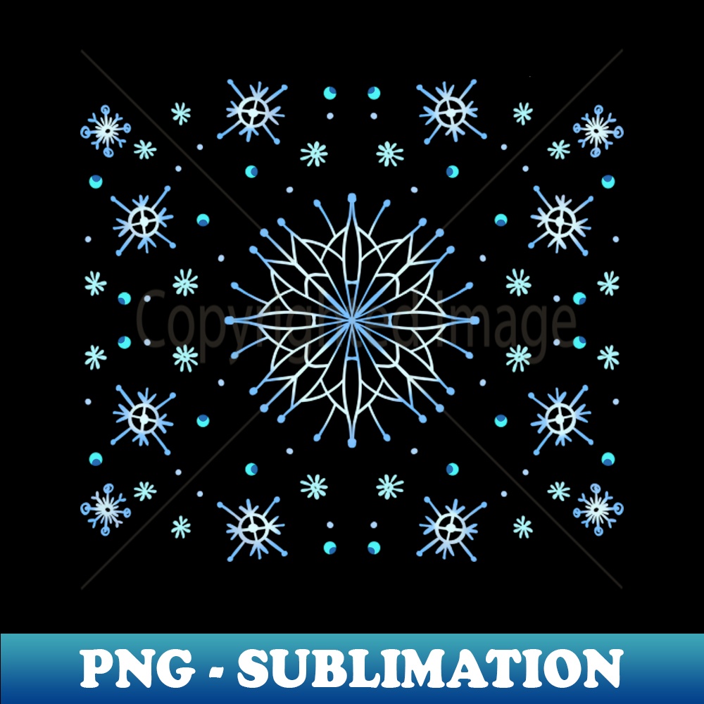 DN-20231114-19140_snowflakes 3591.jpg