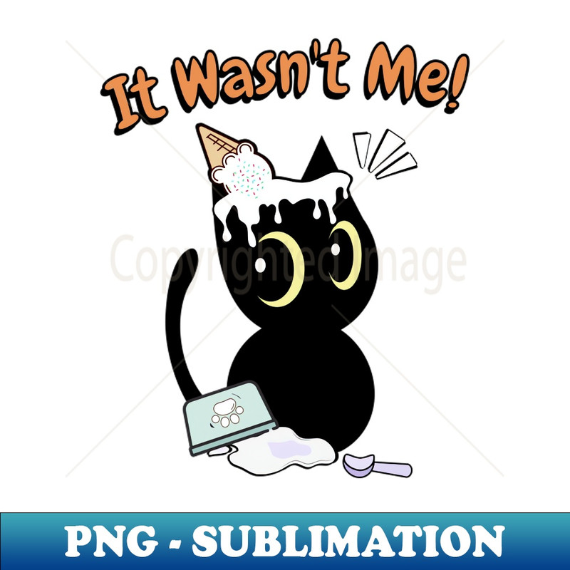 DP-20231114-8326_Funny black cat got caught stealing ice cream 6387.jpg