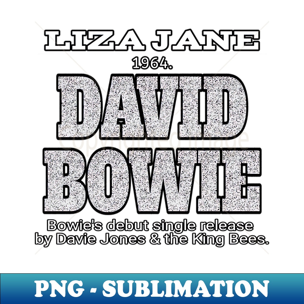 EA-20231114-6171_david bowie vintage 7448.jpg