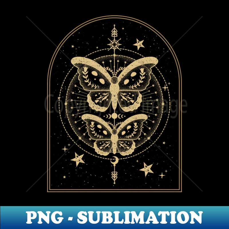 EJ-20231114-14850_Moth cottagecore fairycore and goblincore insect moon child 4822.jpg