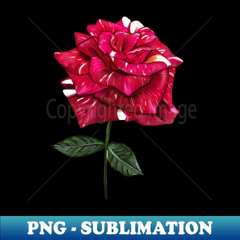 ET-20231114-9787_Hand drawn rose 1522.jpg