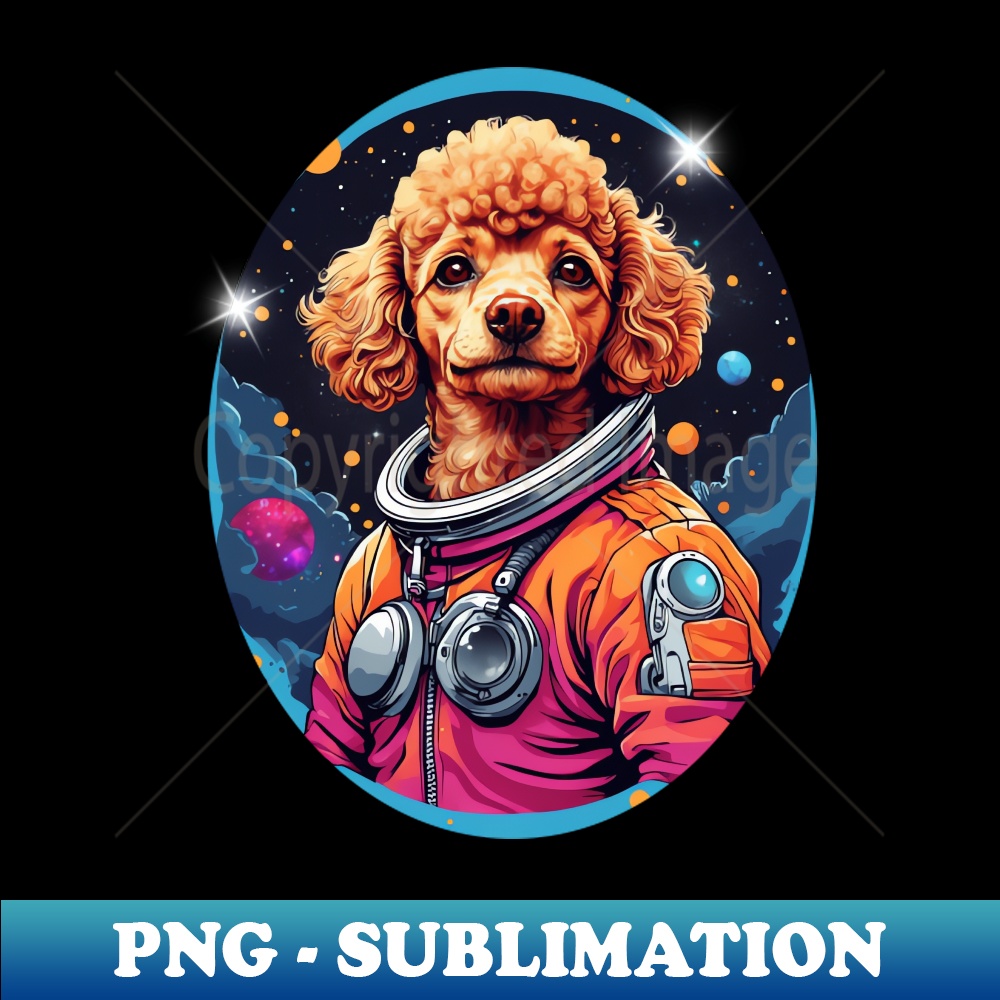 FI-20231114-16746_Poodle Lost In Space 3457.jpg