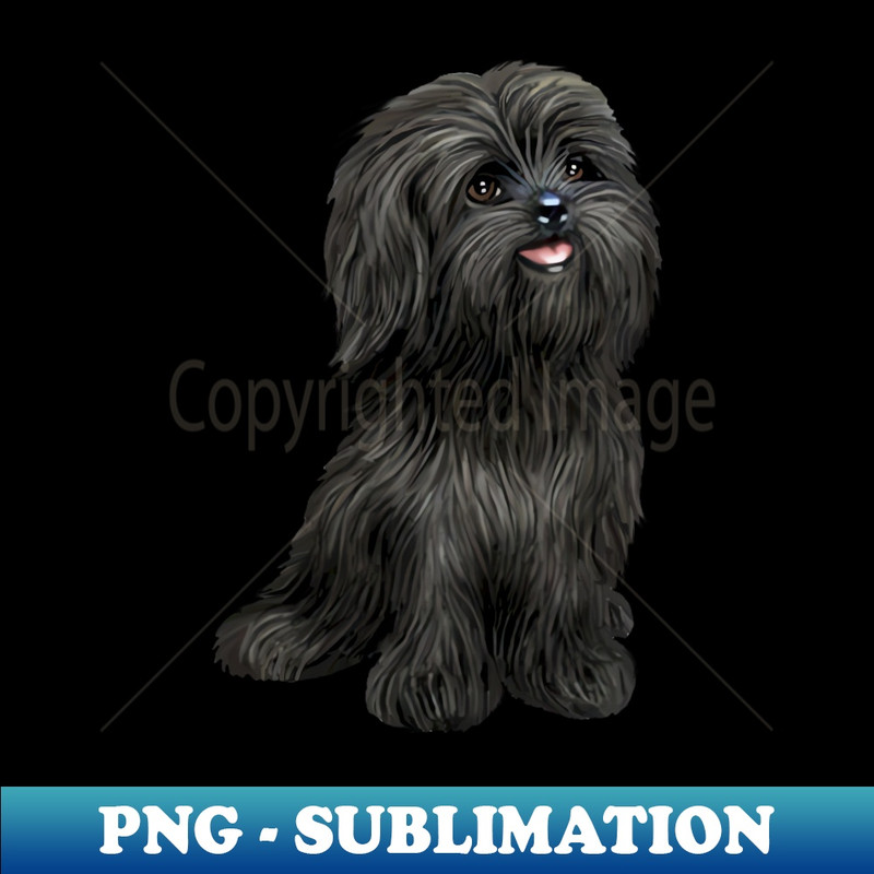 FO-20231114-781_Adorable Black Shih Tzu 4302.jpg