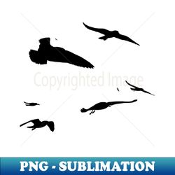 flock of seagulls scavenging black silhouette - stylish sublimation digital download - defying the norms