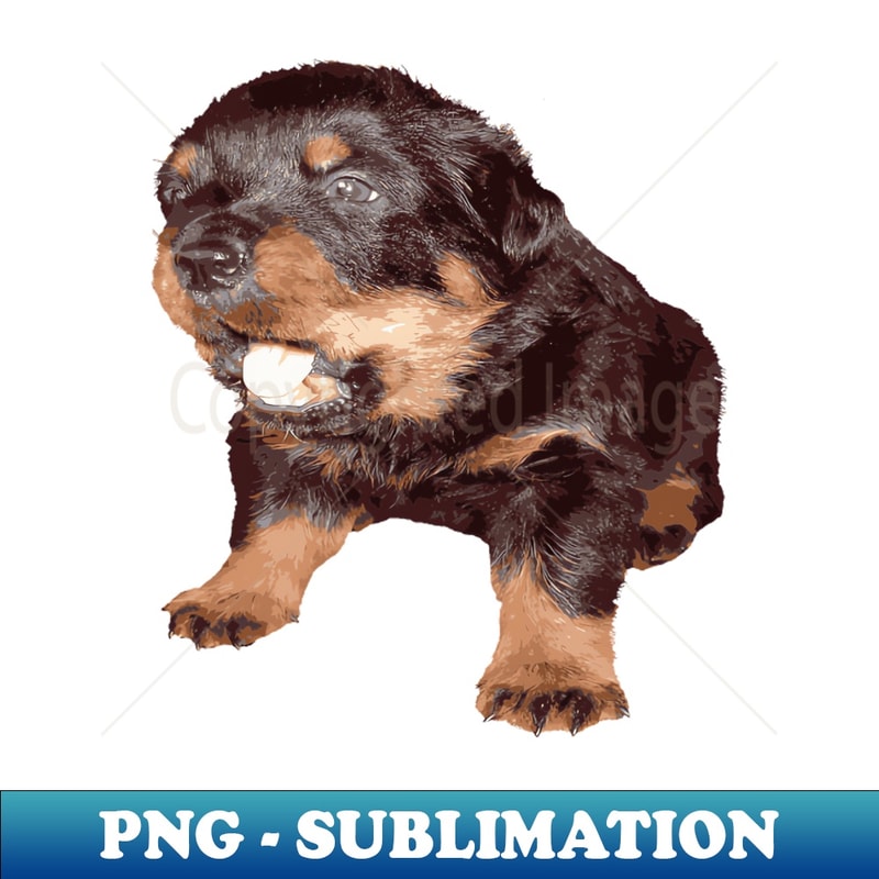 GC-20231114-17991_Rottweiler Puppy with Shocked Open Mouth Expression 9432.jpg