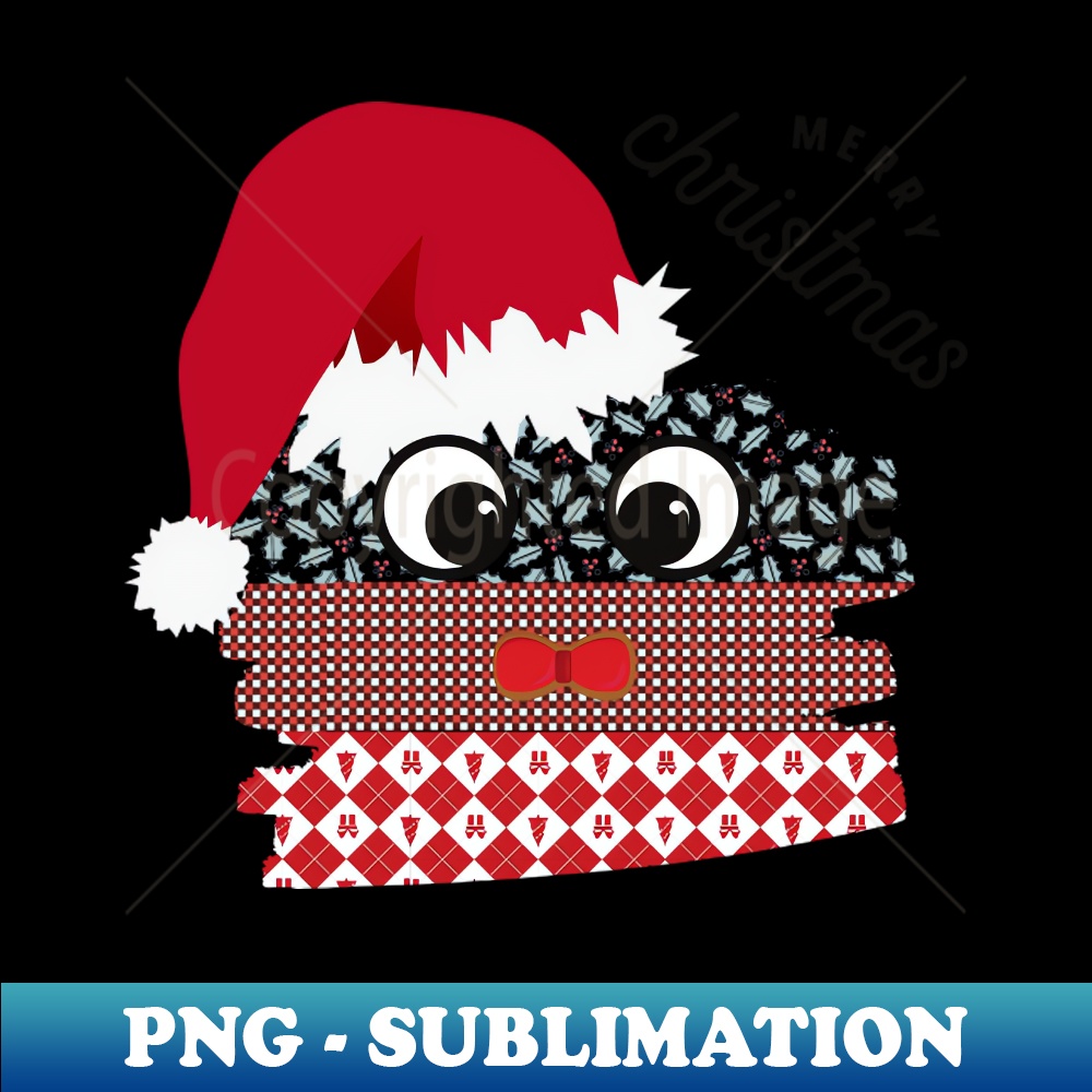 GN-20231114-3261_BOW Christmas 7948.jpg