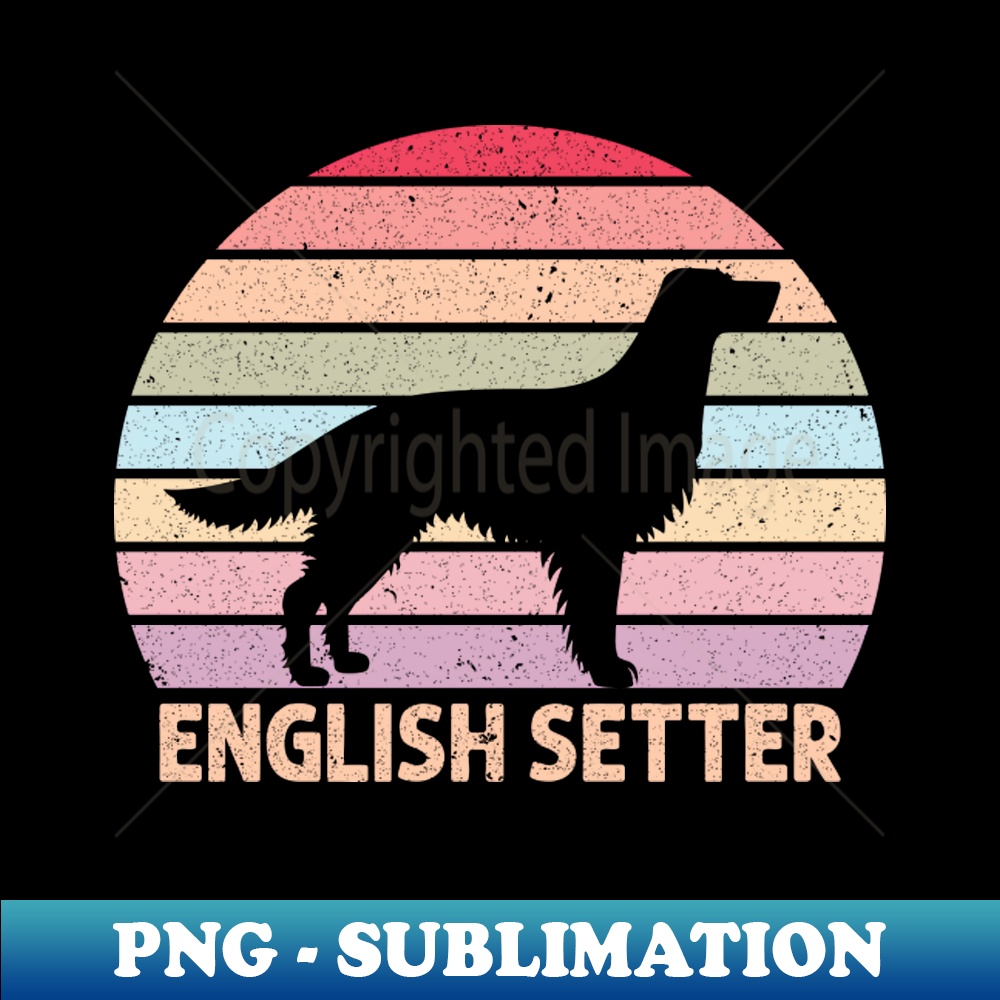 GS-20231114-7167_English Setter 9410.jpg