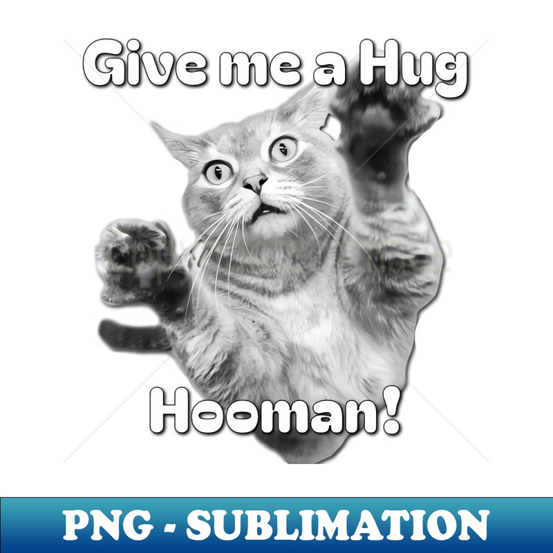 GV-20231114-9469_Grey Cat Funny Cat Gray Tabby Cat Cat Loaf Chilling Cat 7648.jpg