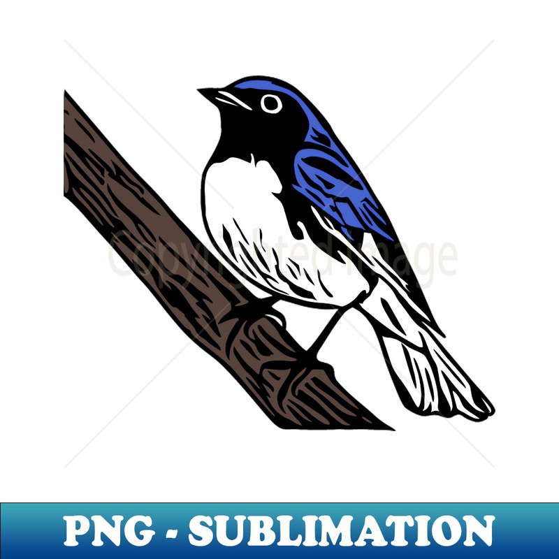 HB-20231114-2902_Black-Throated Blue Warbler Bird 3712.jpg