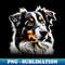 HF-20231114-1728_Australian Shepherd 1407.jpg