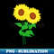 HF-20231114-19937_Sunflower Duo Black Background 1390.jpg
