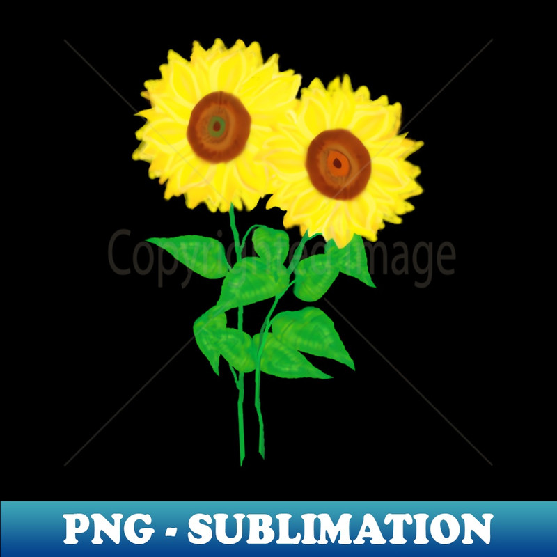 HF-20231114-19937_Sunflower Duo Black Background 1390.jpg