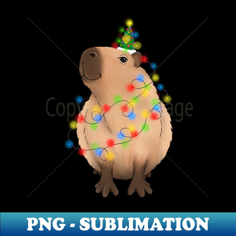 HL-20231114-4390_Christmas Capybara with fairy lights and a hat 2964.jpg