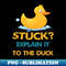 HM-20231114-19804_Stuck explain it to the duck 8554.jpg