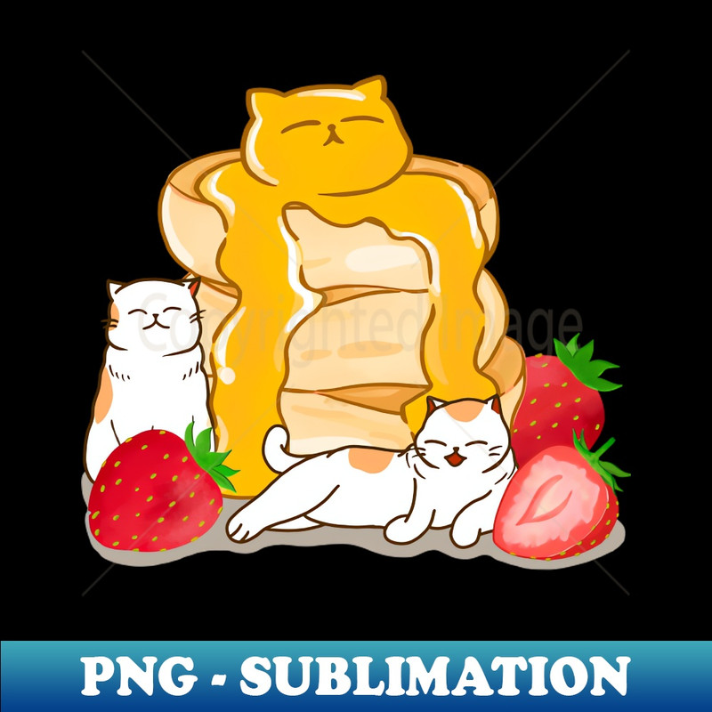 HZ-20231114-12554_Kawaii Kitten Pancakes 5767.jpg