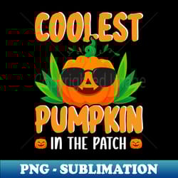coolest pumpkin in the patch halloween toddler boys girls - vintage sublimation png download - unleash your creativity