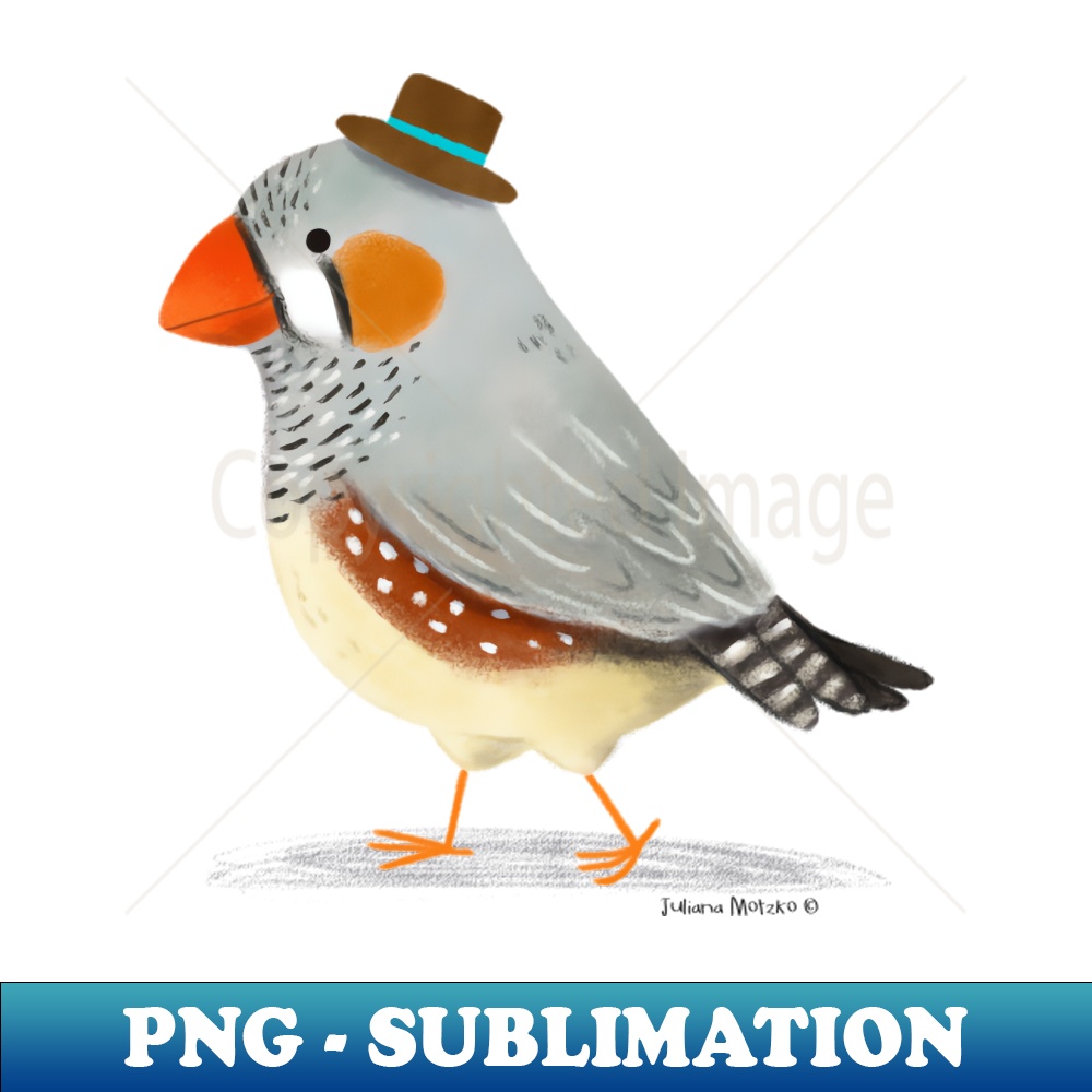 IL-20231114-23369_Zebra Finch Bird with Hat 3753.jpg