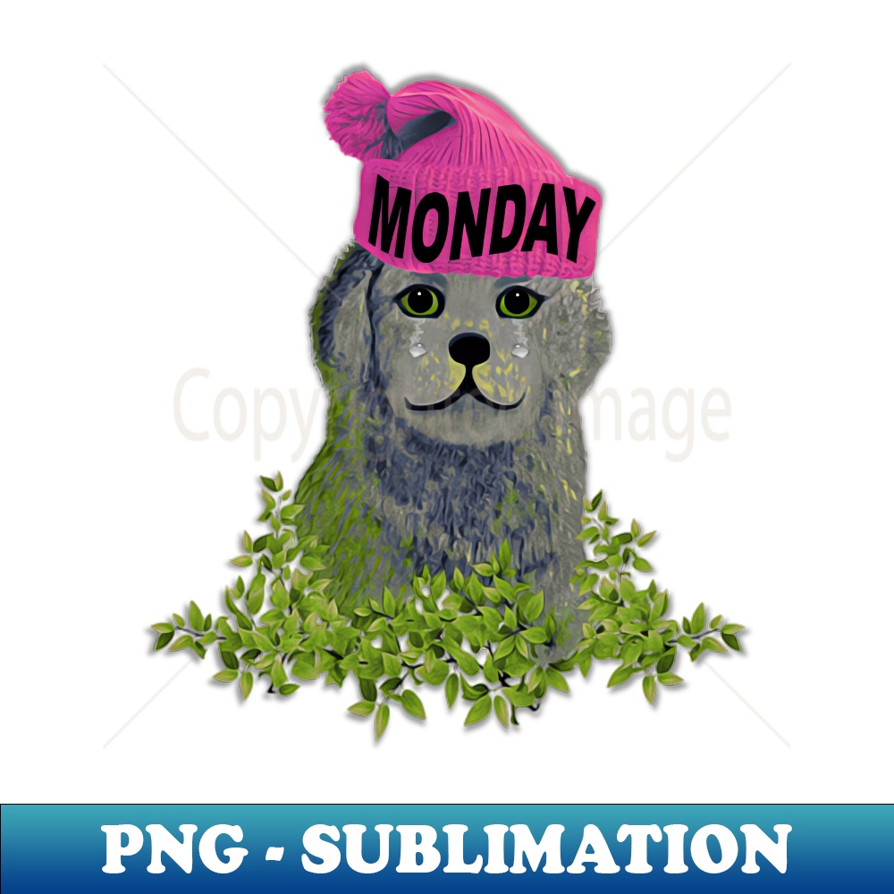 IX-20231114-14772_Moody Monday Beanie Puppy 4221.jpg