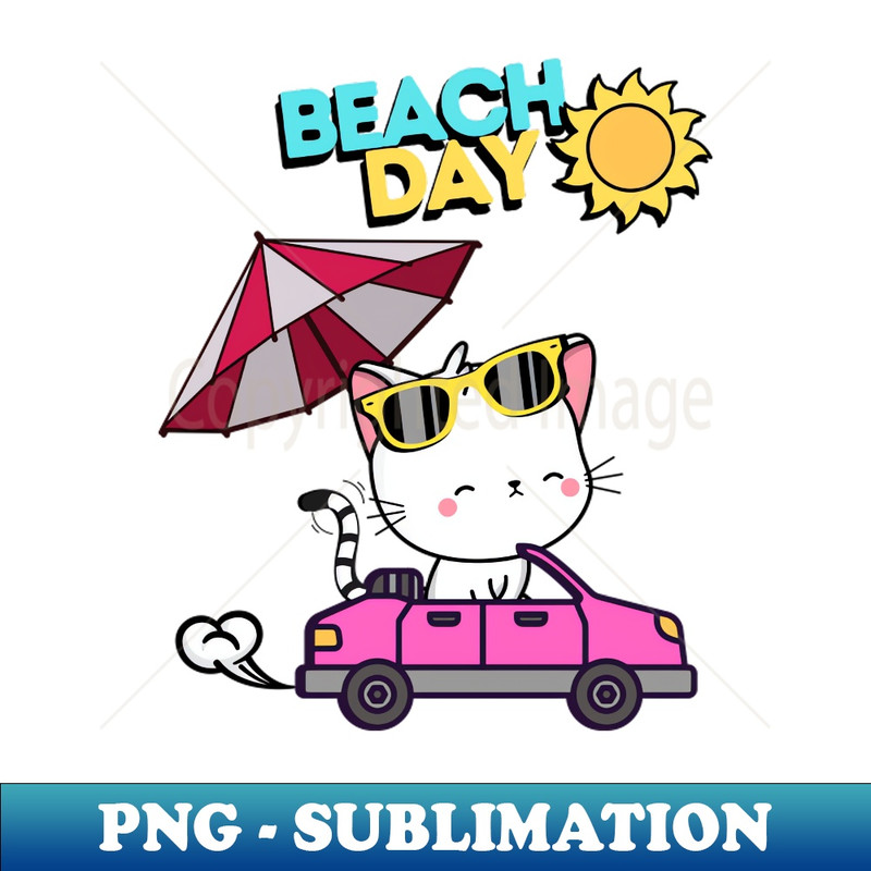 JJ-20231114-5900_Cute White Angora Cat driving to the beach in summer 6494.jpg