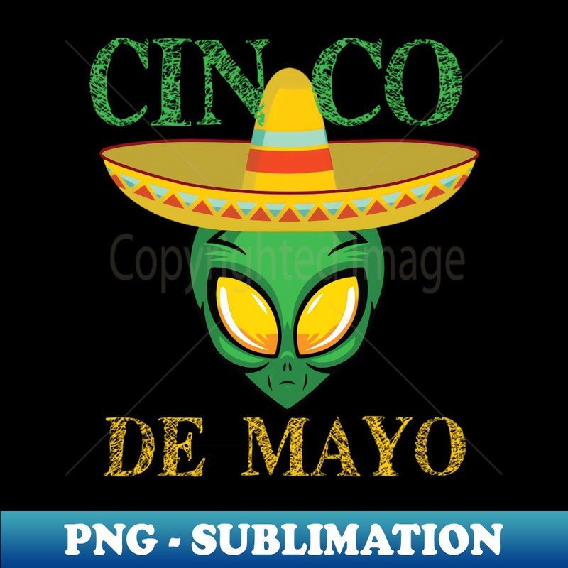 JN-20231114-4601_Cinco De Mayo Mexican Sombrero Ailen Margarita Party 1813.jpg