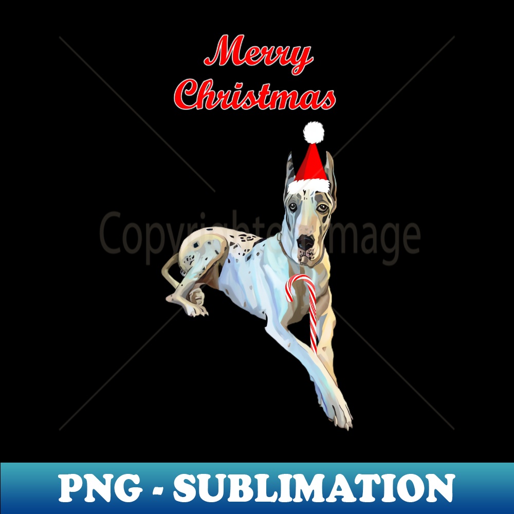 JO-20231114-14385_Merry Christmas Harlequin Great Dane Dog 1319.jpg