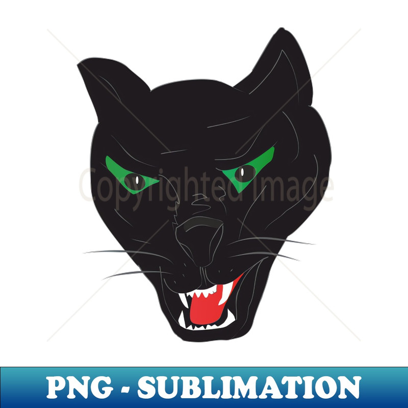 KK-20231114-2864_Black panther 9651.jpg