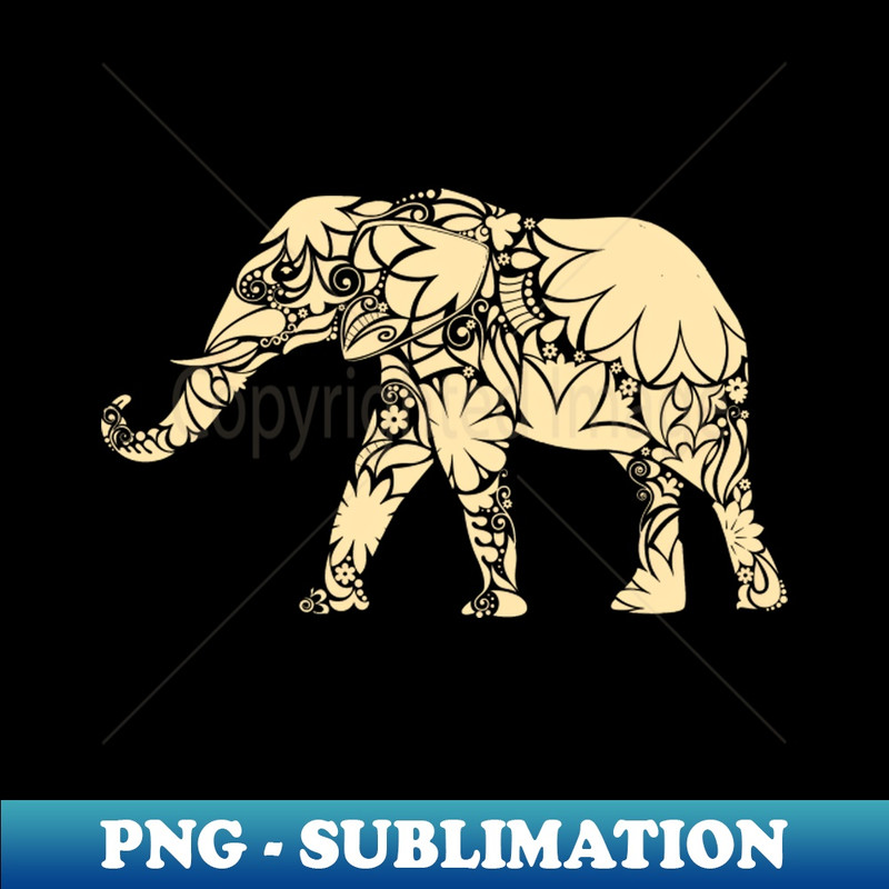 KZ-20231114-7067_Elephant Cool Art 2888.jpg