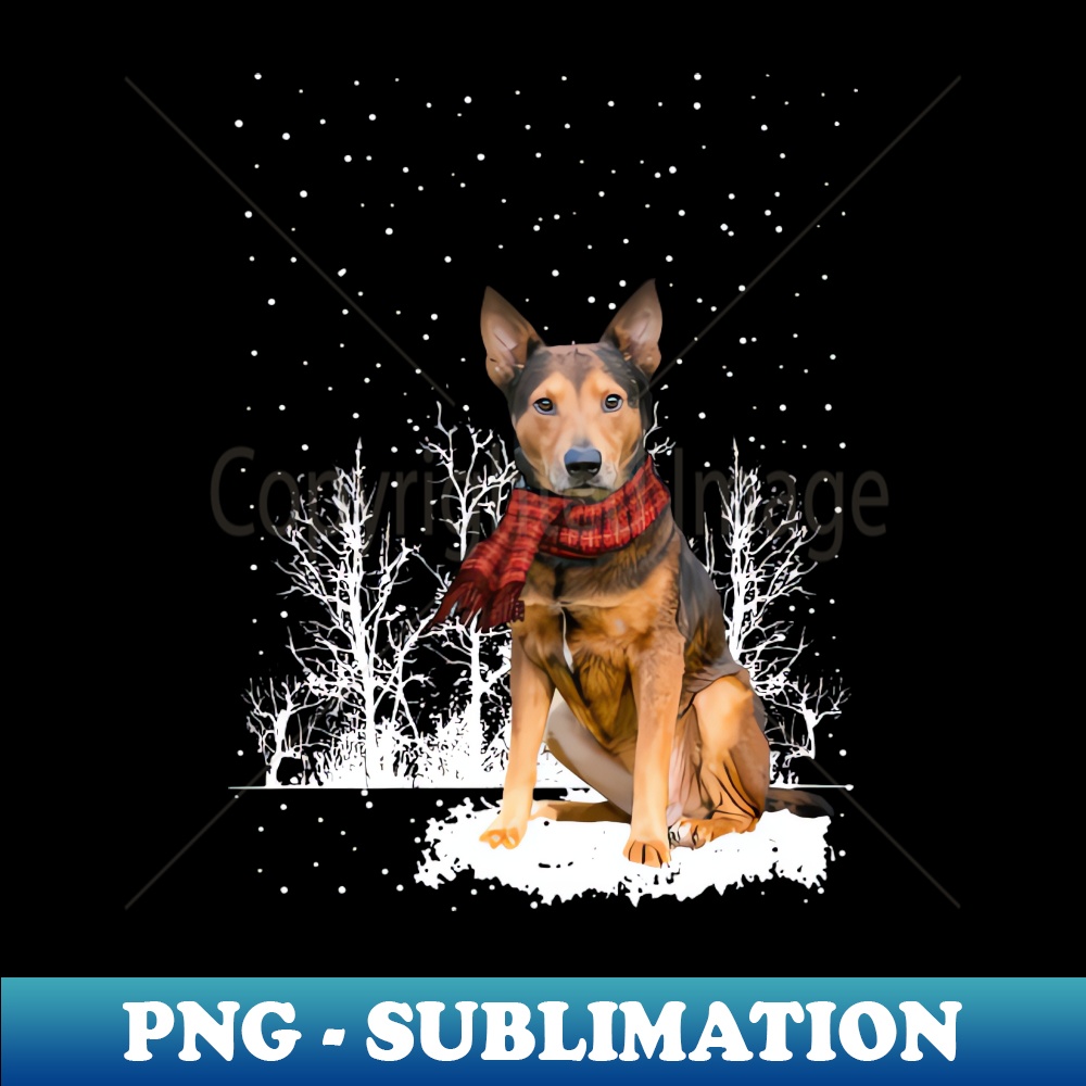 LB-20231114-4521_Christmas Shepherd Terrier With Scarf In Winter Forest 5095.jpg