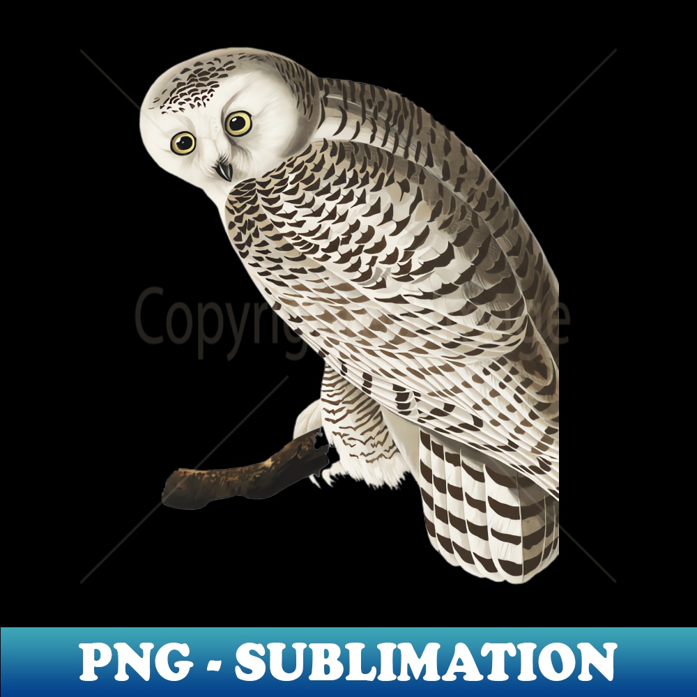 LE-20231114-19155_Snowy White Owl Night owl design 1382.jpg