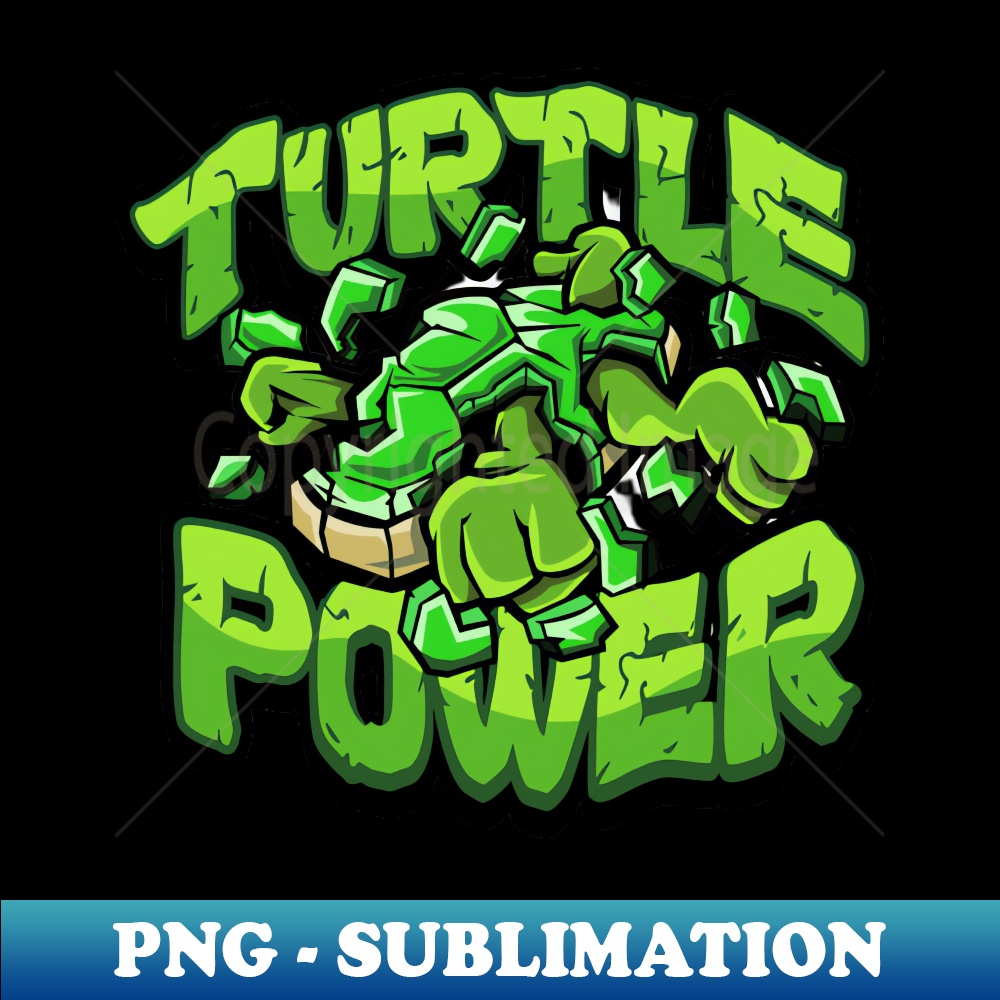 LE-20231114-21561_Turtle Power  Ninja Turtles 4379.jpg