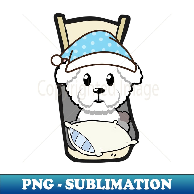 LE-20231114-5670_Cute furry dog is going to bed 2880.jpg