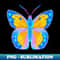 LG-20231114-3357_Bright bold rainbow yellow butterfly 9384.jpg