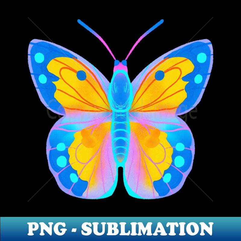 LG-20231114-3357_Bright bold rainbow yellow butterfly 9384.jpg