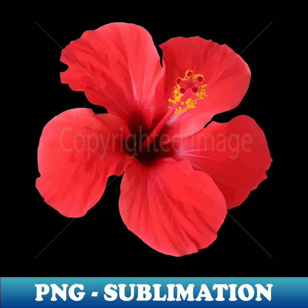 LH-20231114-18413_Scarlet Hibiscus Tropical Flower 4846.jpg