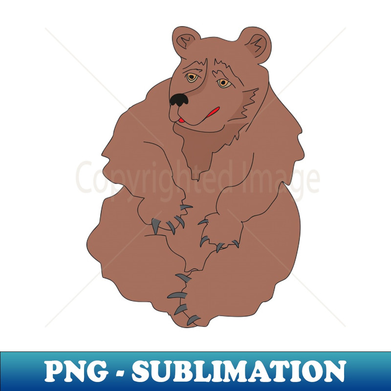 LI-20231114-2241_Bear 2695.jpg