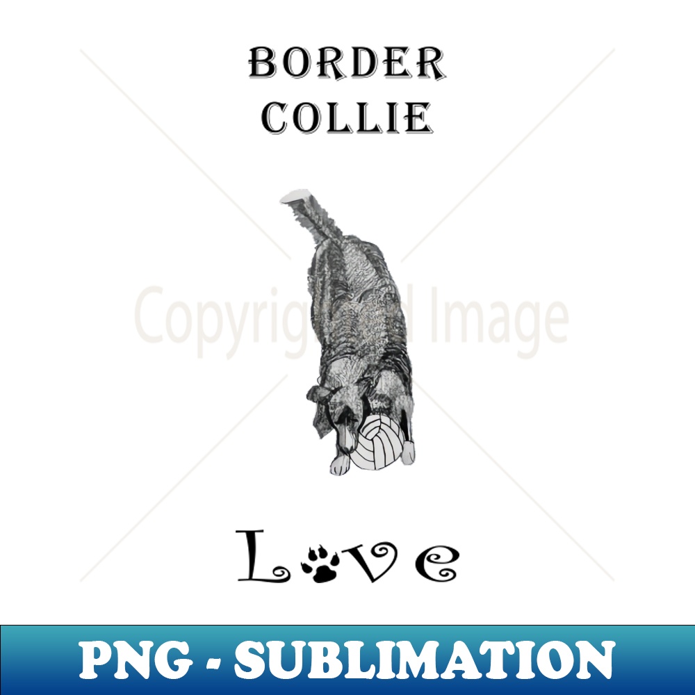 LT-20231114-3195_Border Collie Love - Pencil Drawing of Border Collie 7085.jpg