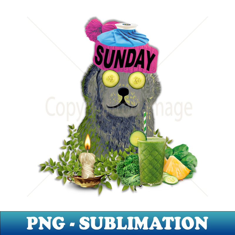 MD-20231114-14773_Moody Sunday Chillin Beanie Puppy 2586.jpg