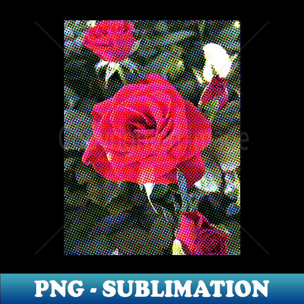 MX-20231114-17977_Roses Outside the Store 5 4295.jpg